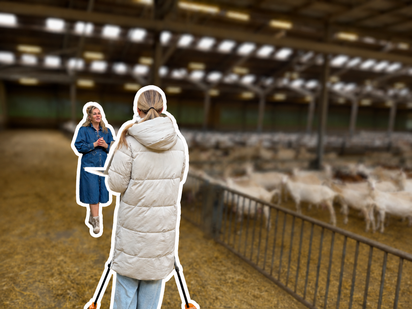 Social media strategie voor een bank